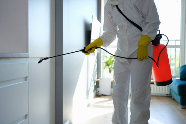 Best Mold Remediation for Schools in Providence, KY
