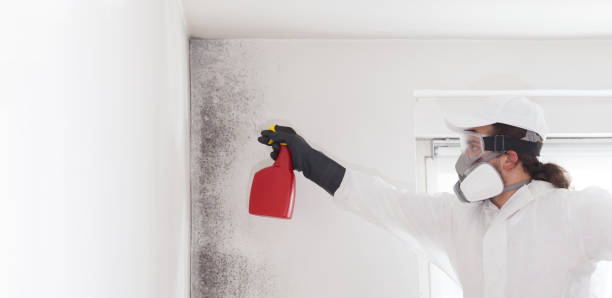 Providence, KY Mold Remediation Company